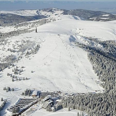 Residenz Grafenmatt Feldberg Leilighet Feldberg  Eksteriør bilde