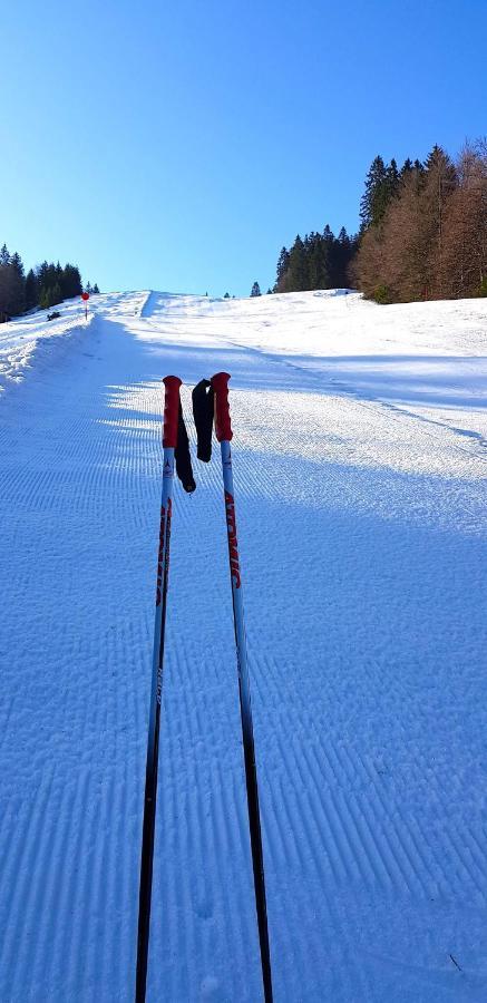 Residenz Grafenmatt Feldberg Leilighet Feldberg  Eksteriør bilde