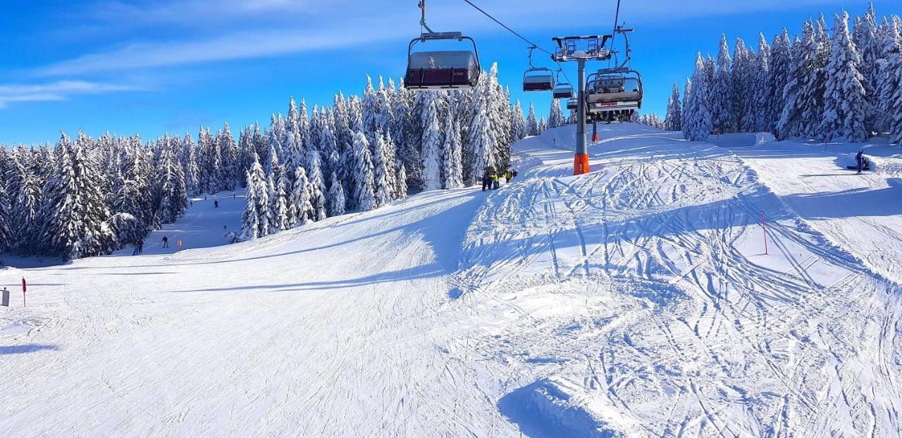 Residenz Grafenmatt Feldberg Leilighet Feldberg  Eksteriør bilde